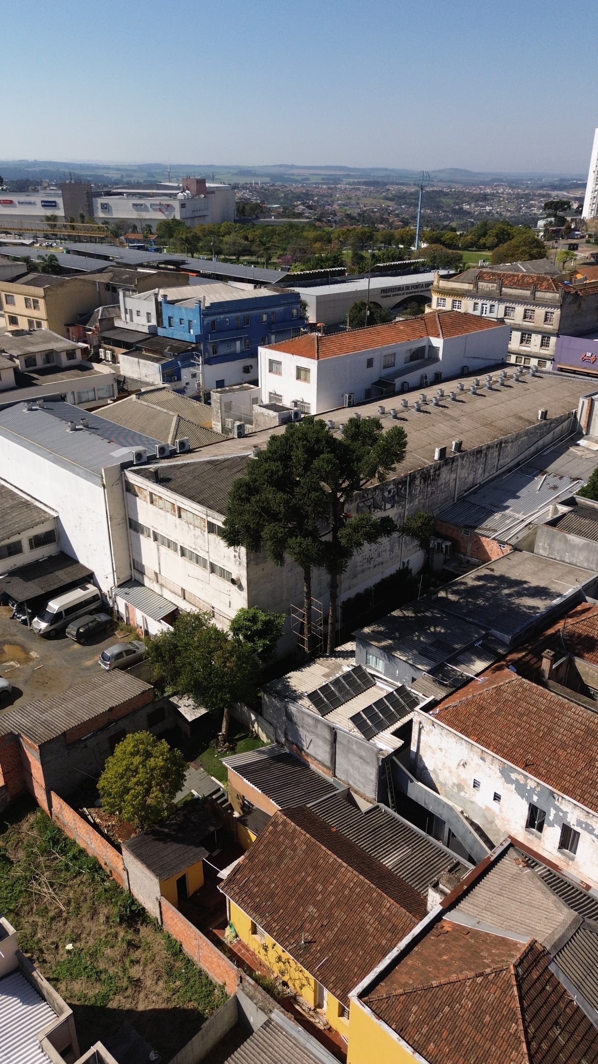 Vista aérea da atuação da Arboninjas em área urbana